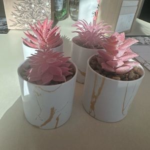 Faux succulent plants